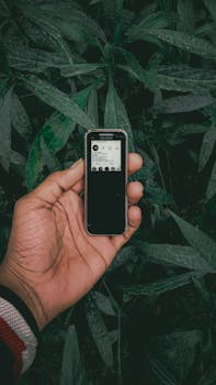 Close-up of a hand holding a smartphone with a leafy background, showcasing modern technology in nature.