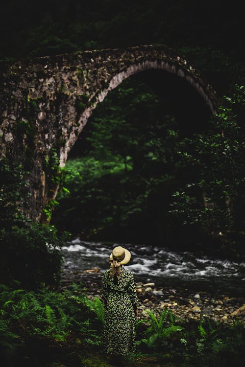 Foto d'estoc gratuïta de d'esquena, dempeus, dona