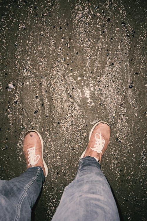 Standing on the Beach 