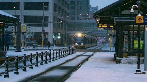 冬季, 市中心, 林荫大道 的 免费素材图片