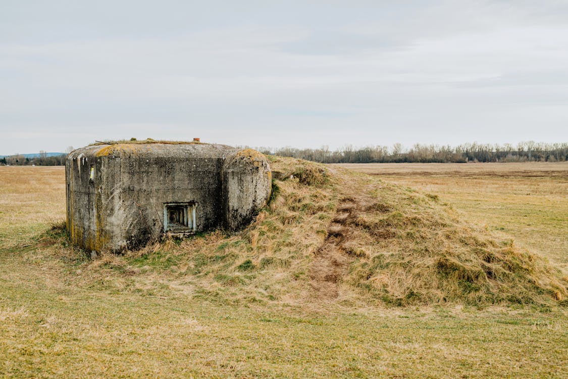 Concrete Structure covered in grass