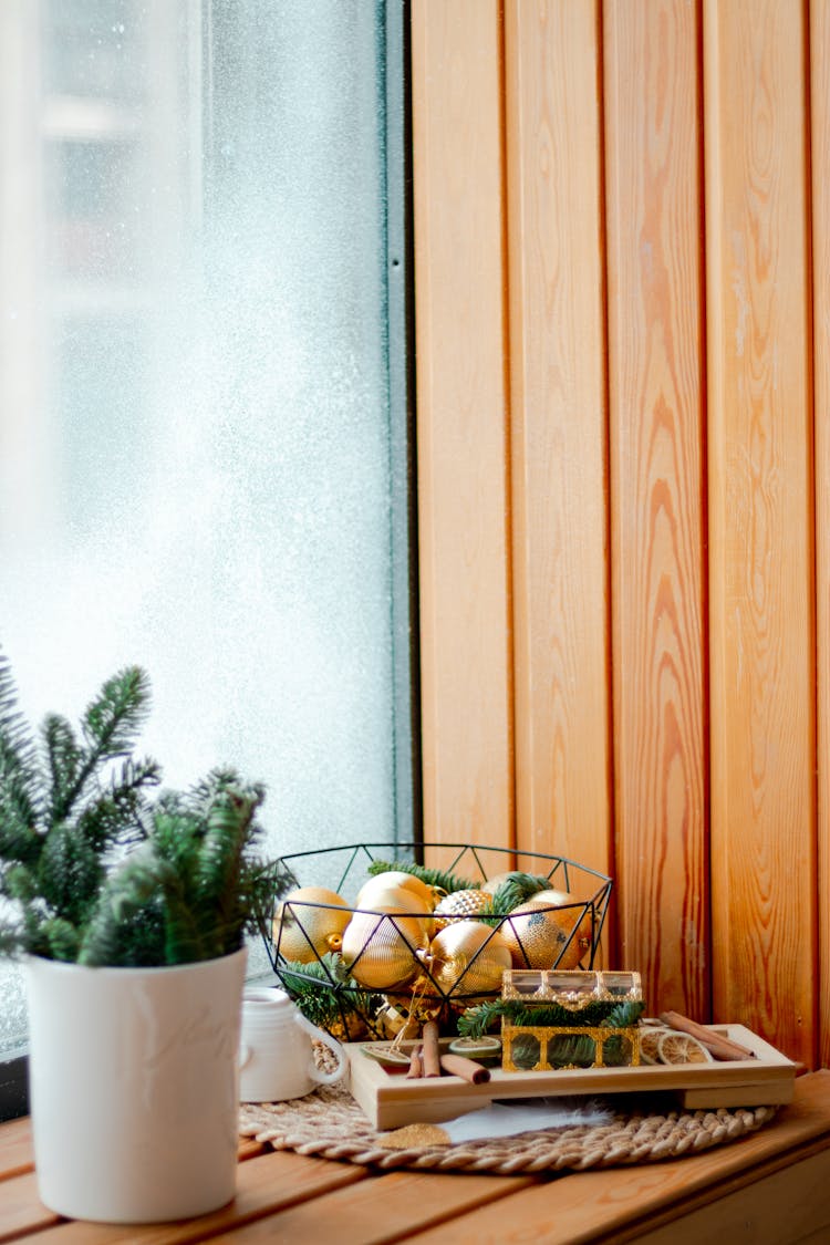 Plant And Christmas Fruit On Table