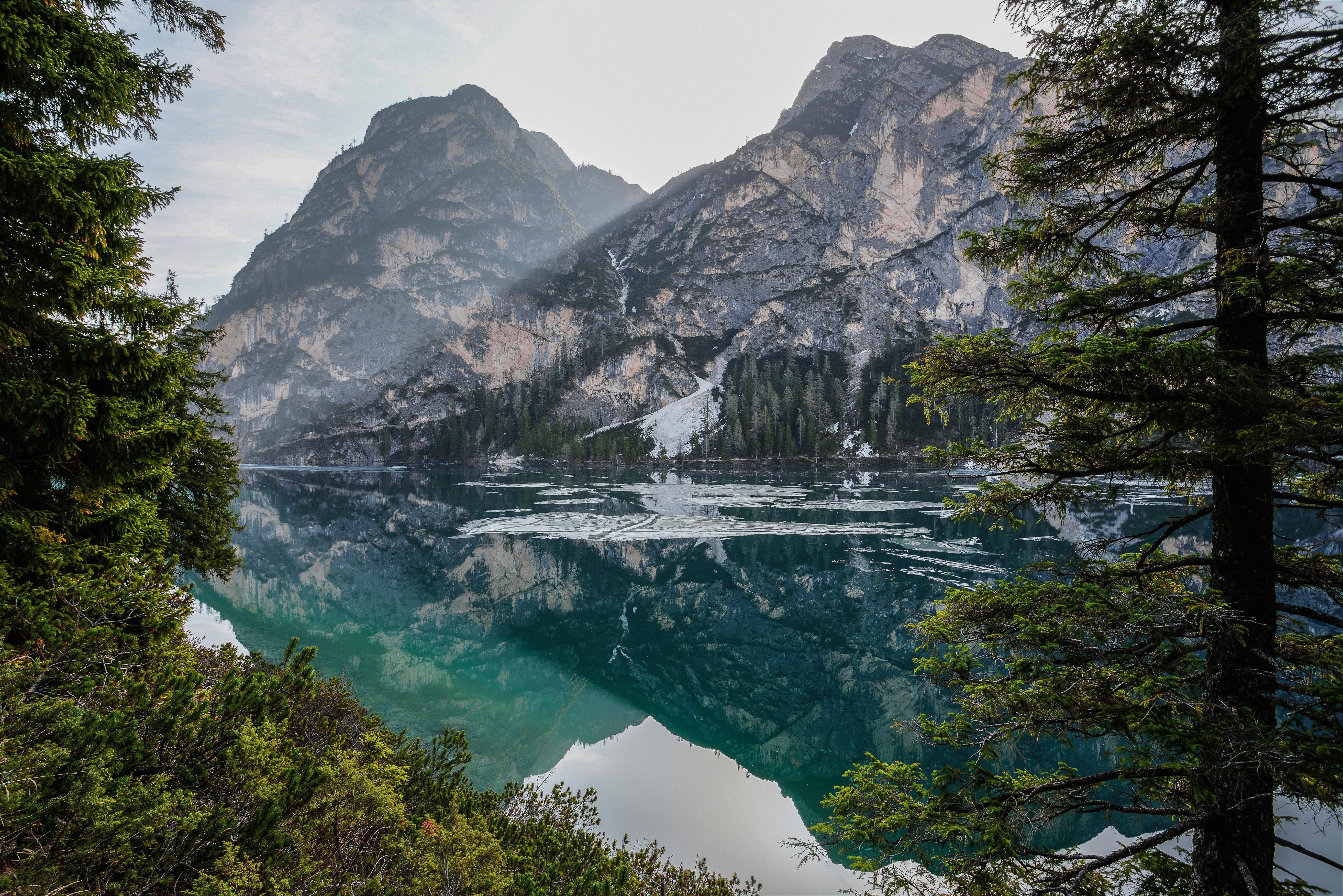 80,000+ Best Desktop Wallpaper Photos · 100% Free Download · Pexels Stock  Photos