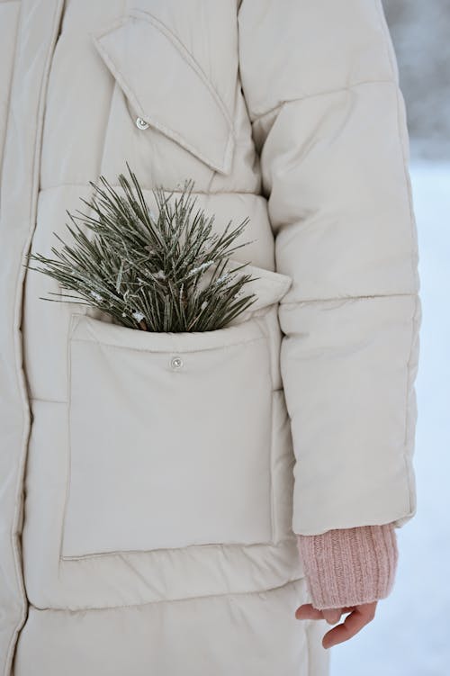 Conifer Twig in Winter Coat Pocket