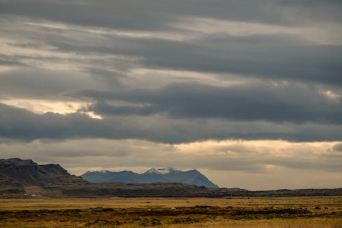 Grassland Near the Mountain