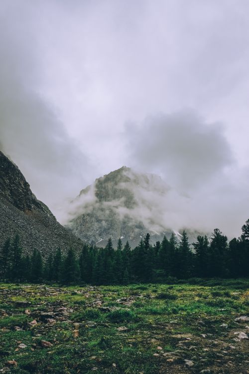 Free Breathtaking view of a misty mountain surrounded by green forest and cloudy sky. Stock Photo
