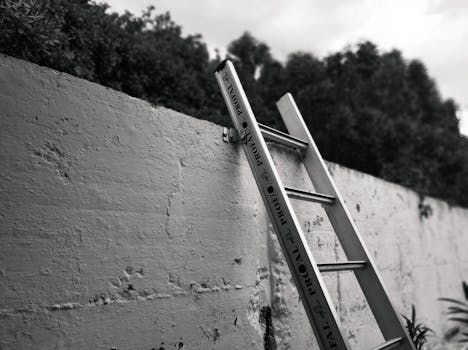 A grayscale image of a metal ladder propped against a concrete wall, outdoors.
