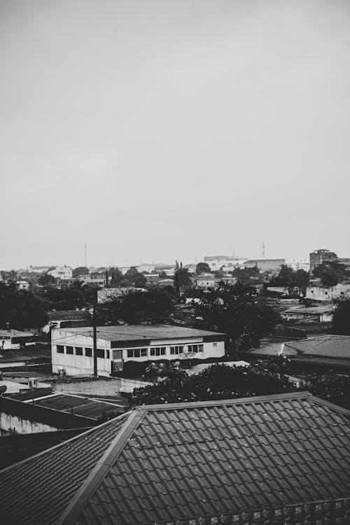 Grayscale Photo of Buildings 