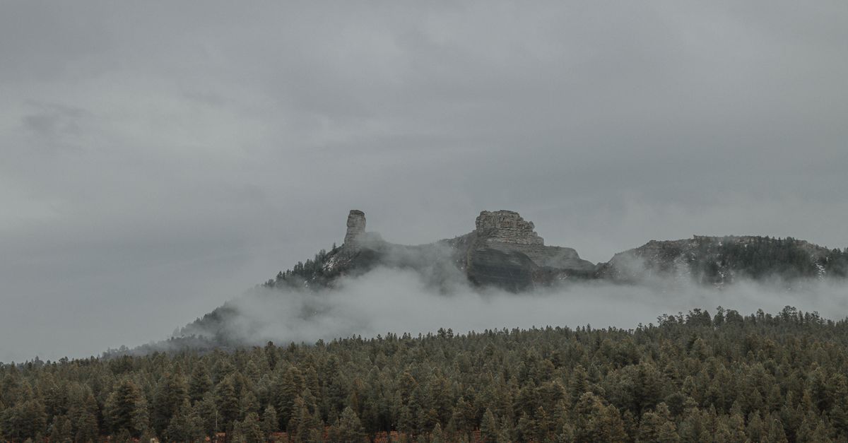 Foggy mountain landscape with dense forest in Colorado, USA, exuding a serene and misty atmosphere.