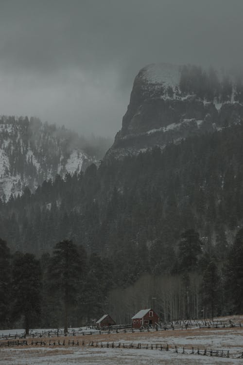 下雪的天氣, 不清楚, 冬季 的 免費圖庫相片