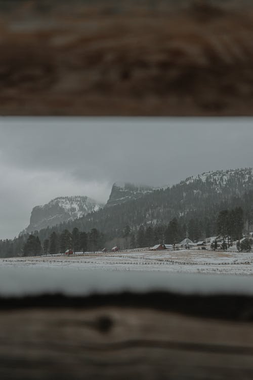 下雪的天氣, 不清楚, 冬季 的 免費圖庫相片