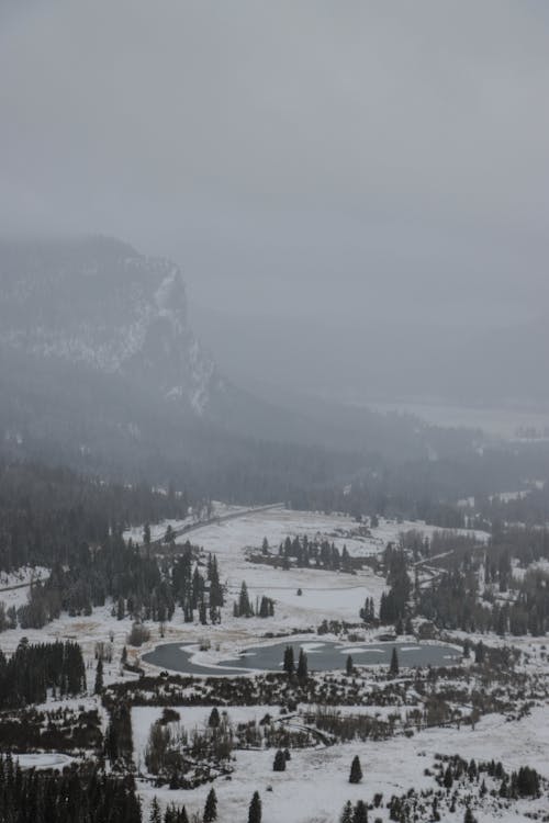 下雪的天氣, 不清楚, 冬季 的 免費圖庫相片