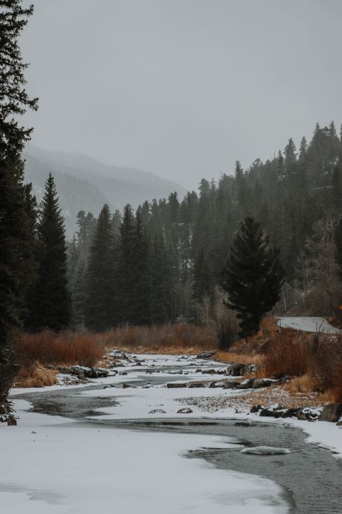 Free A peaceful winter scene with a snow-covered forest and partially frozen river under overcast skies. Stock Photo