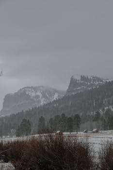 A scenic view of snow-covered mountains with coniferous trees and a frosty atmosphere.