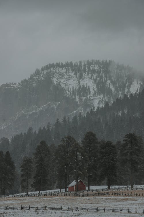 下雪的天氣, 不清楚, 冬季 的 免費圖庫相片