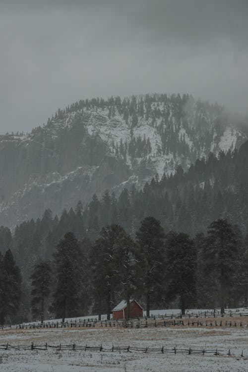 下雪的天氣, 不清楚, 冬季 的 免費圖庫相片