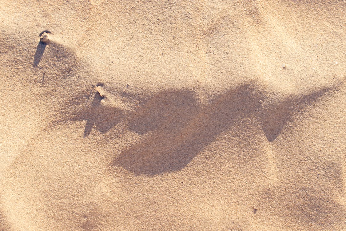 Foto profissional grátis de areia, fechar-se, litoral