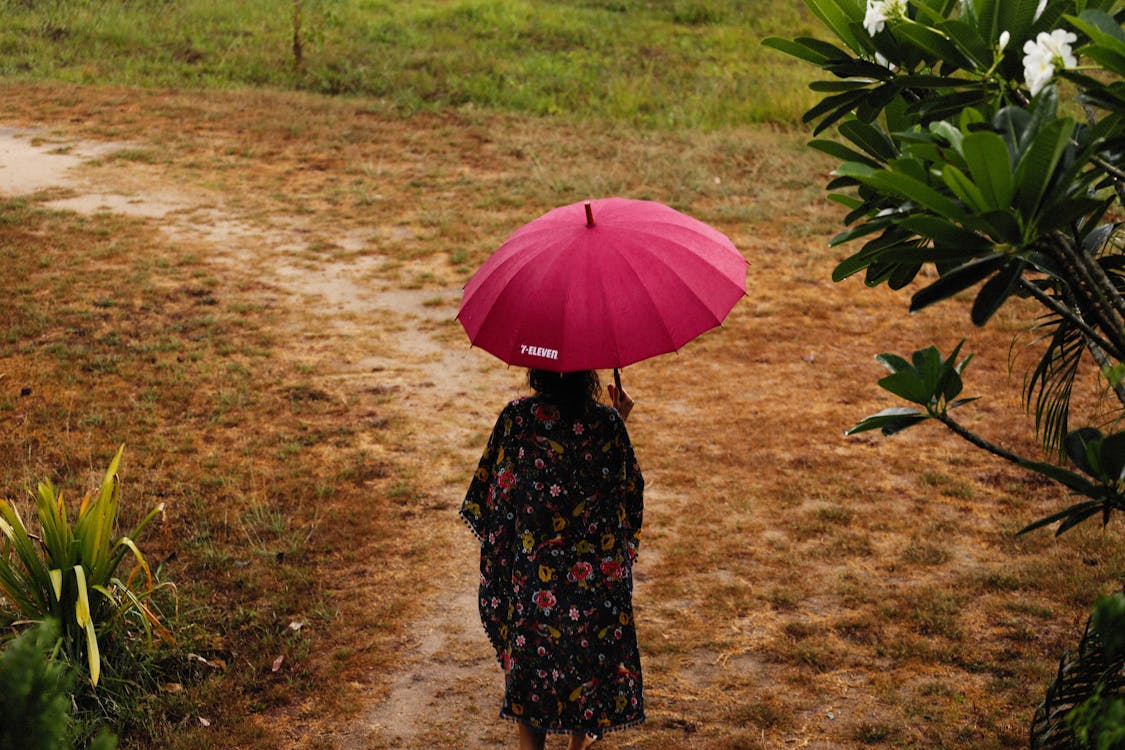 Безкоштовне стокове фото на тему «задній вигляд, зйомка з висоти, парасолька»