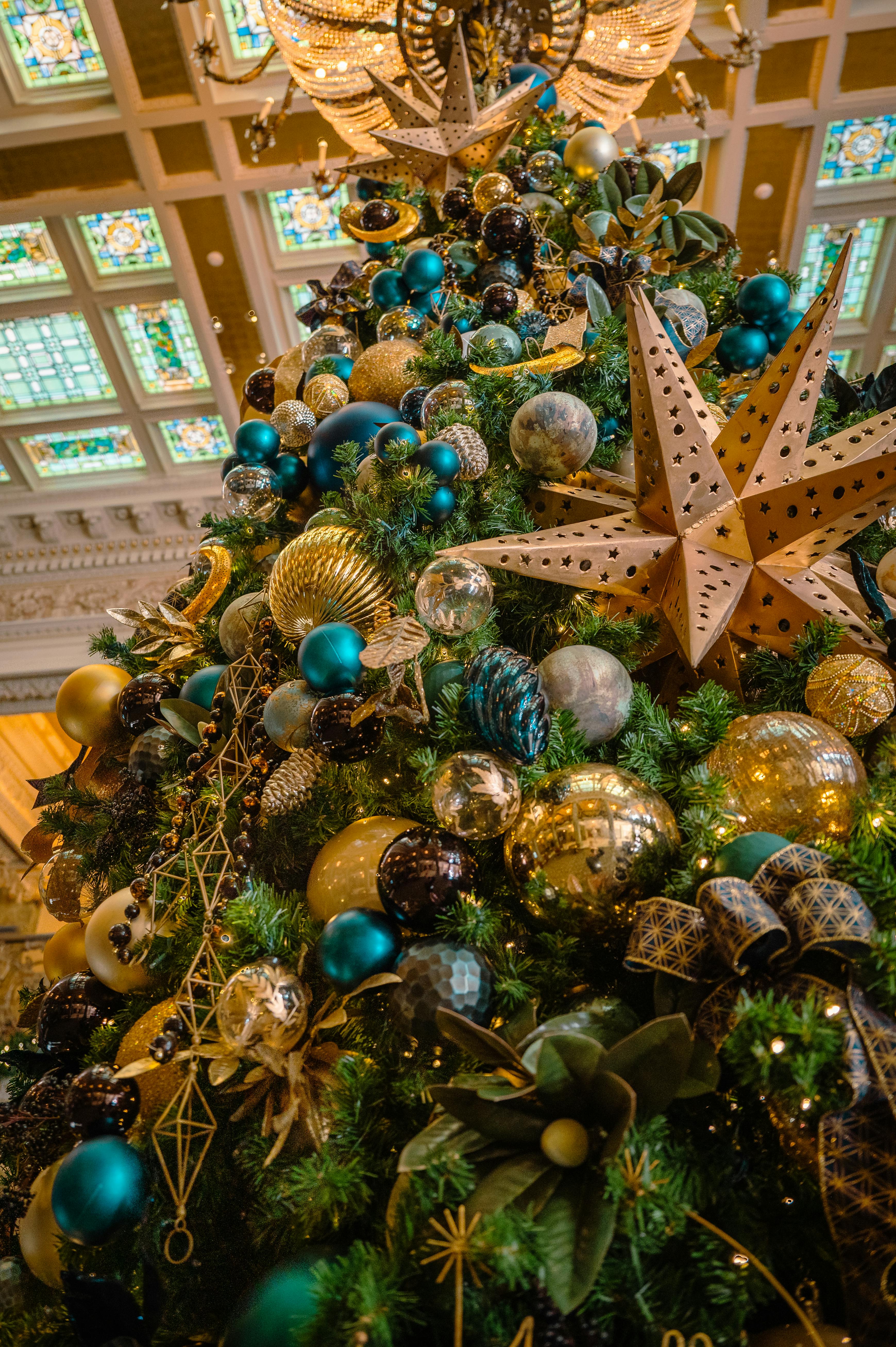 low angle shot of christmas tree