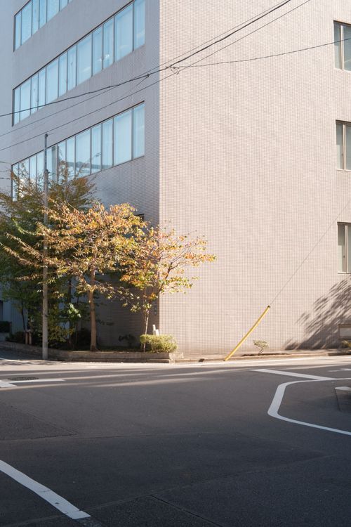 Free A modern cityscape featuring a sunny street corner with sleek, residential architecture. Stock Photo