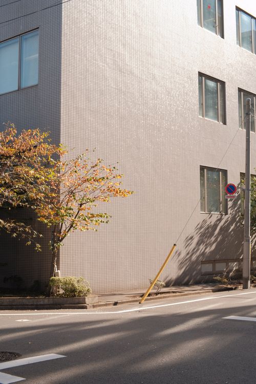 Free Street view of a modern building with windows and a tree in autumn. Stock Photo