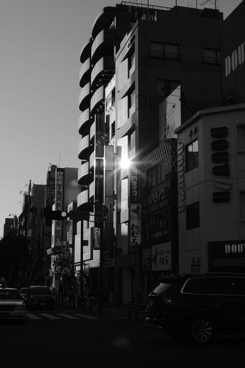 Free Monochrome view of a city street with high-rise buildings during the day. Stock Photo