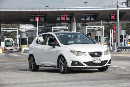 A white car driving through a toll booth with a dog leaning out the window.
