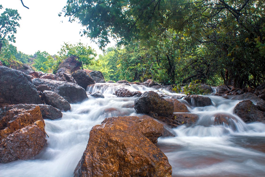 Water Flowing in a Stream · Free Stock Photo