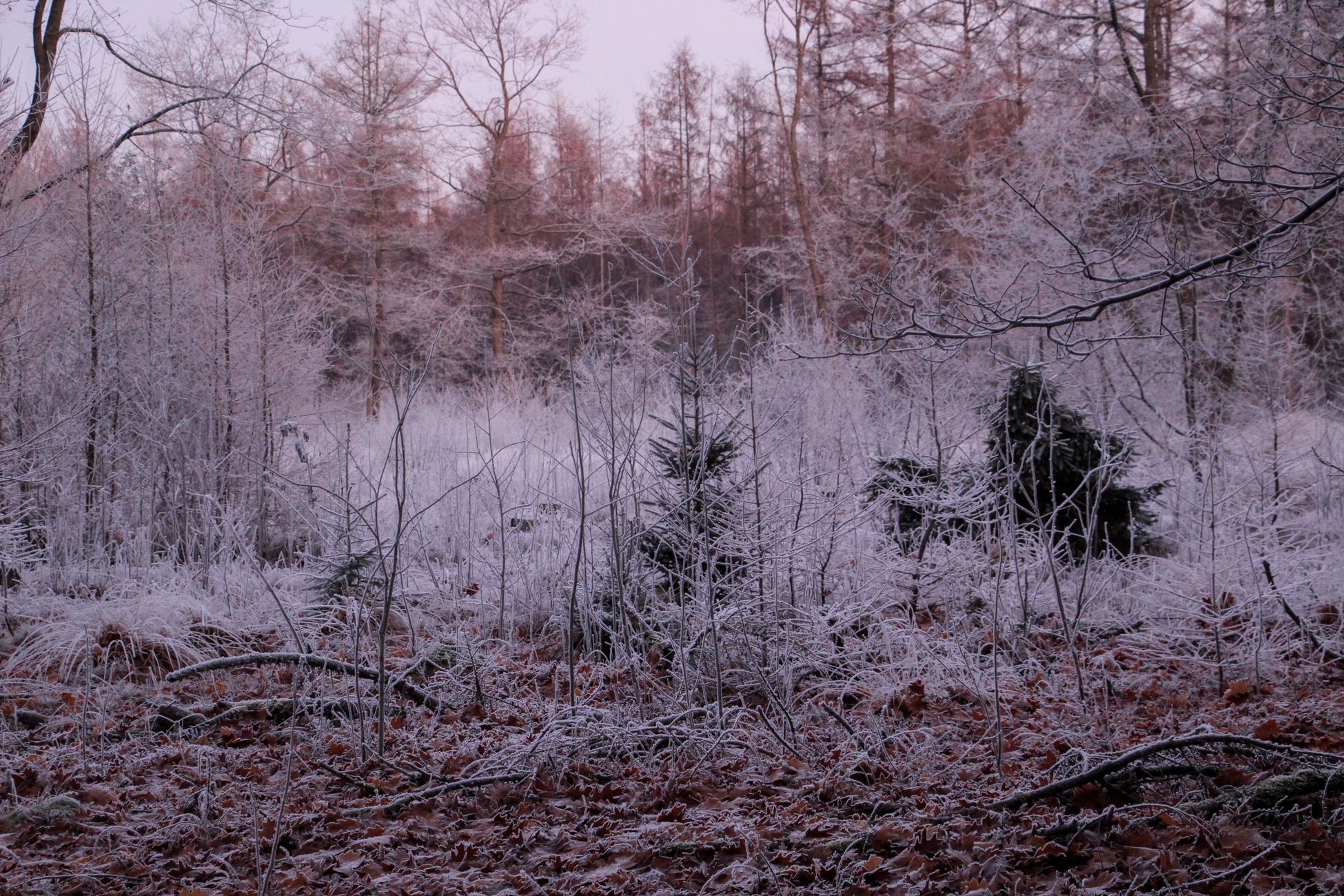 Temperaturen dalen volgende week flink