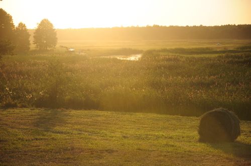 Free Scenic countryside field illuminated by warm sunset light, with hay bales and trees in the distance. Stock Photo