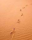 Foot Prints on Sand