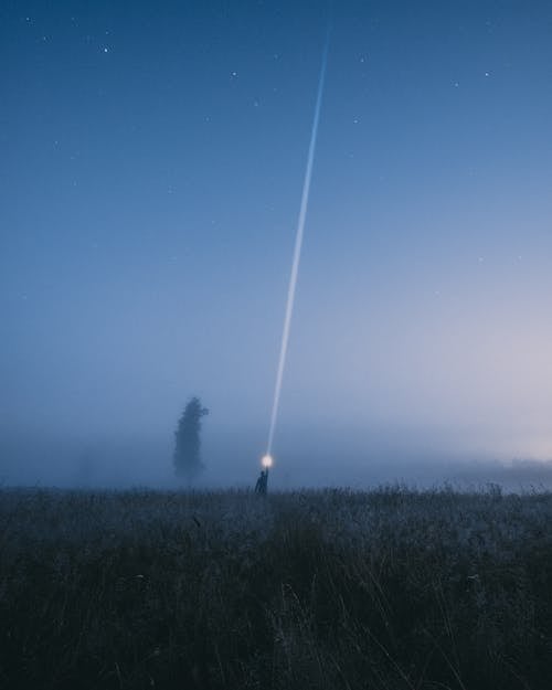 Person in Meadow Shining Light on Foggy Night