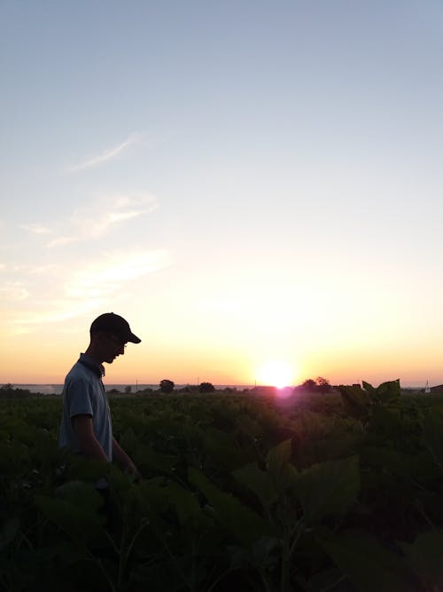 Gratis stockfoto met kerel, mooi uitzicht, natuur