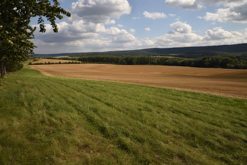 Photos gratuites de campagne, photo de nature, plantation