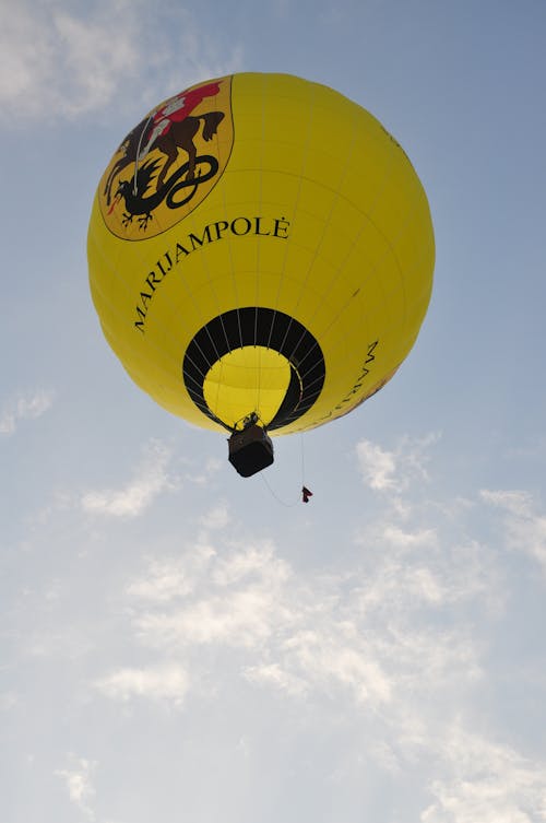 Immagine gratuita di concorrenza, gara di palloncini, hobby del pallone