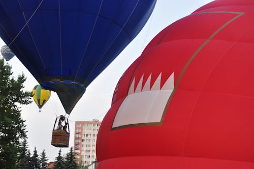 Immagine gratuita di concorrenza, gara di palloncini, hobby del pallone