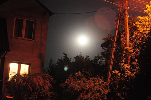 Immagine gratuita di luna, notte, vista
