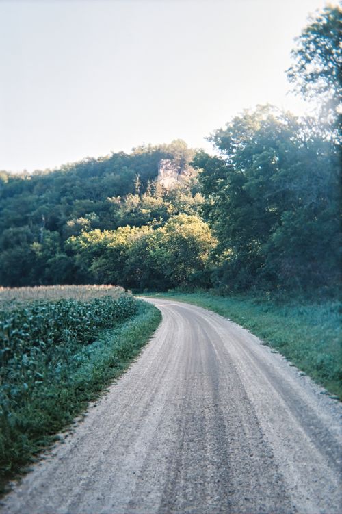 Free Explore a curving dirt road surrounded by lush summer greenery in the Minnesota countryside. Stock Photo
