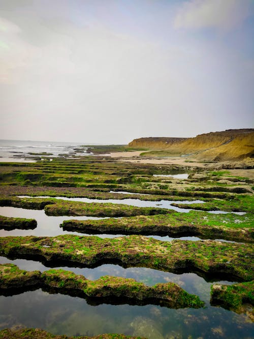 Foto stok gratis fotografi alam, lautan, pinggir pantai
