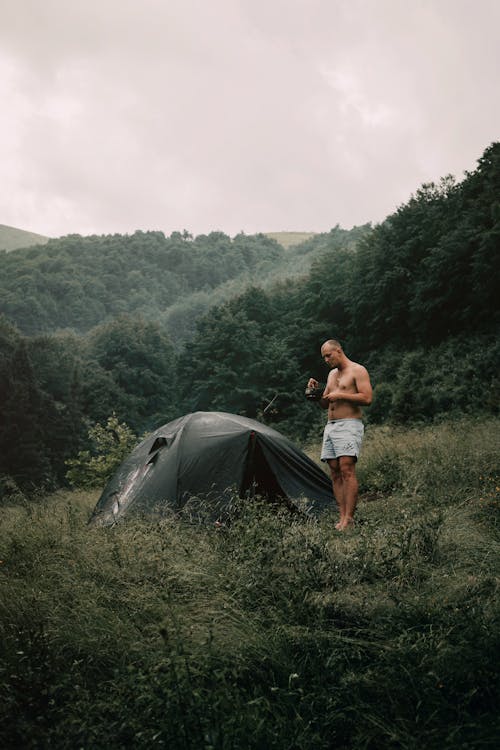 Foto d'estoc gratuïta de acampant, bellesa a la natura, boira