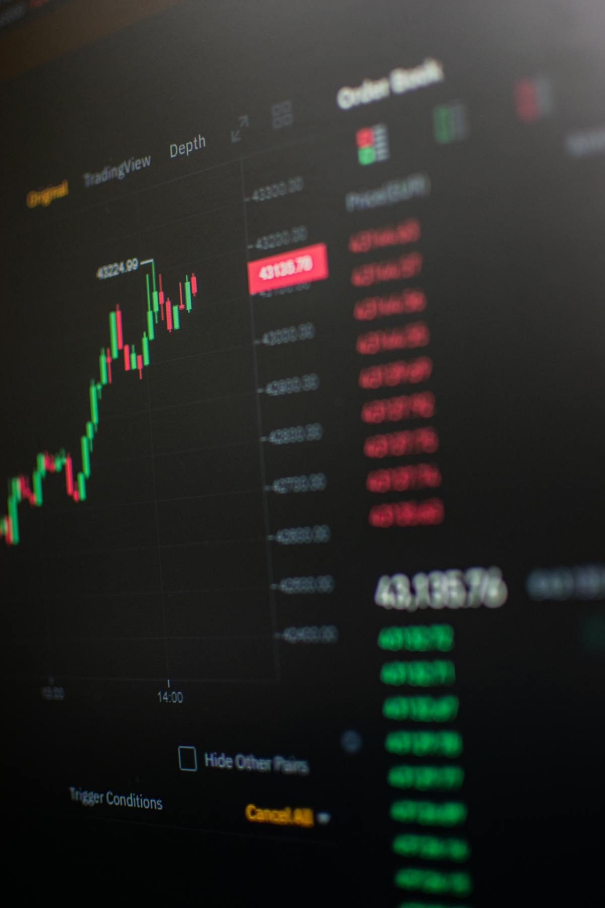 Schermata di exchange con libro ordini e grafico candlestick