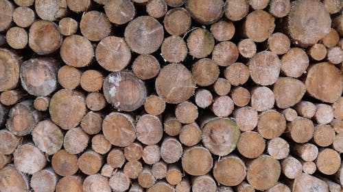 Free Pile of Brown Wooden Logs Stock Photo