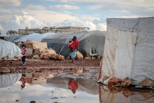 Immagine gratuita di campeggio, fangoso, povertà