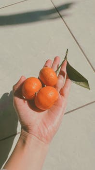 A hand holding three fresh mandarins on a sunlit tiles background, capturing a natural feel.