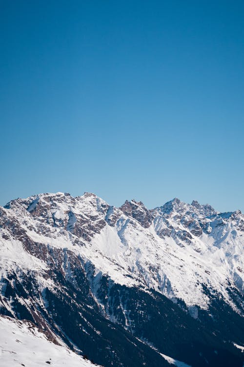 冬季, 垂直拍攝, 大雪覆蓋 的 免費圖庫相片