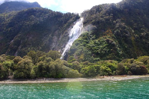 Kostenloses Stock Foto zu fjord, milford sound, mittelerde