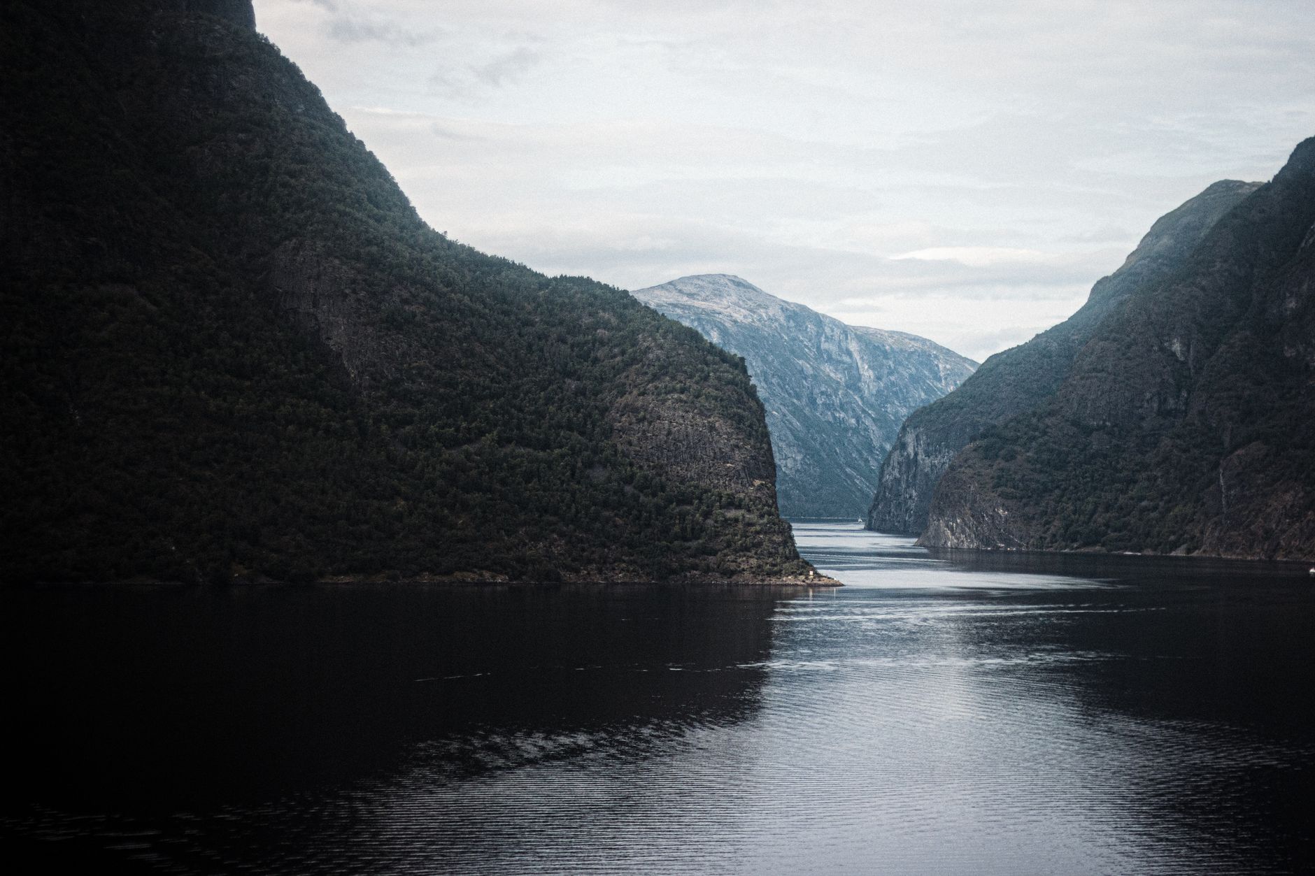 Business Class Fjords