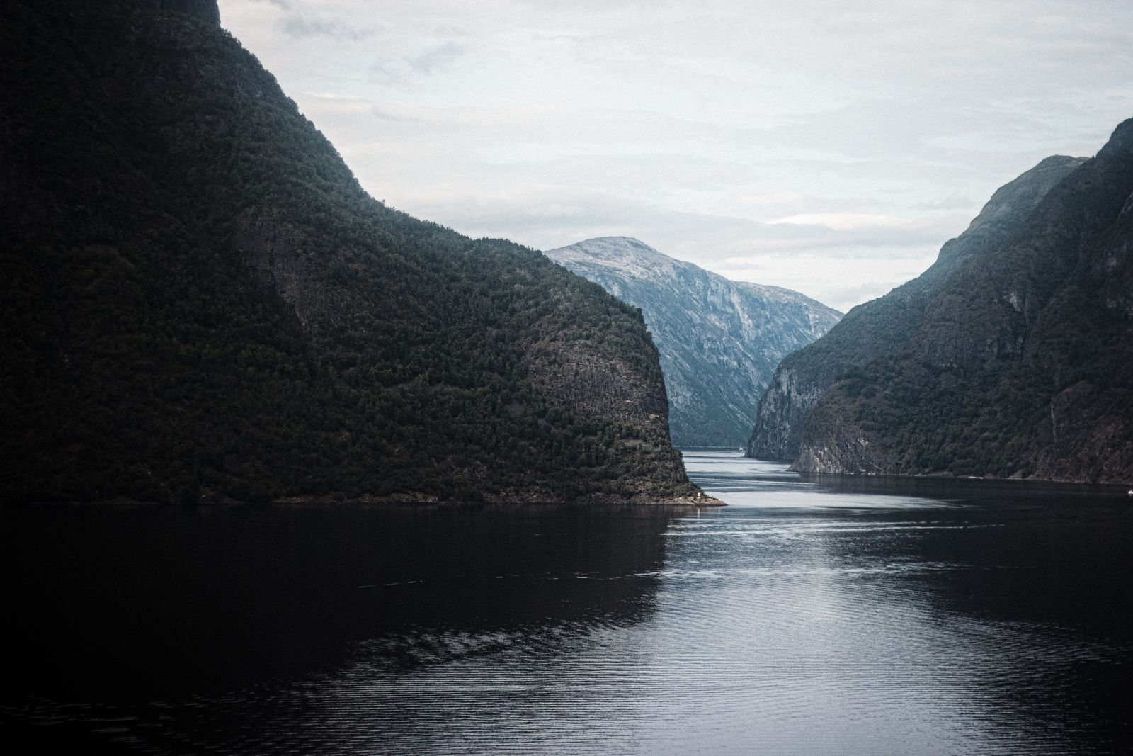 Eaux sereines du fjord