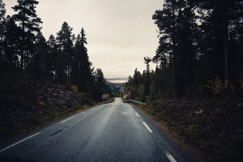 Free Empty road cutting through a dense forest in Norway, capturing a serene autumnal scene. Stock Photo