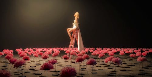 Základová fotografie zdarma na téma hudební video, krása, pohádka